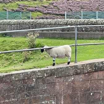 平日ハイカーII