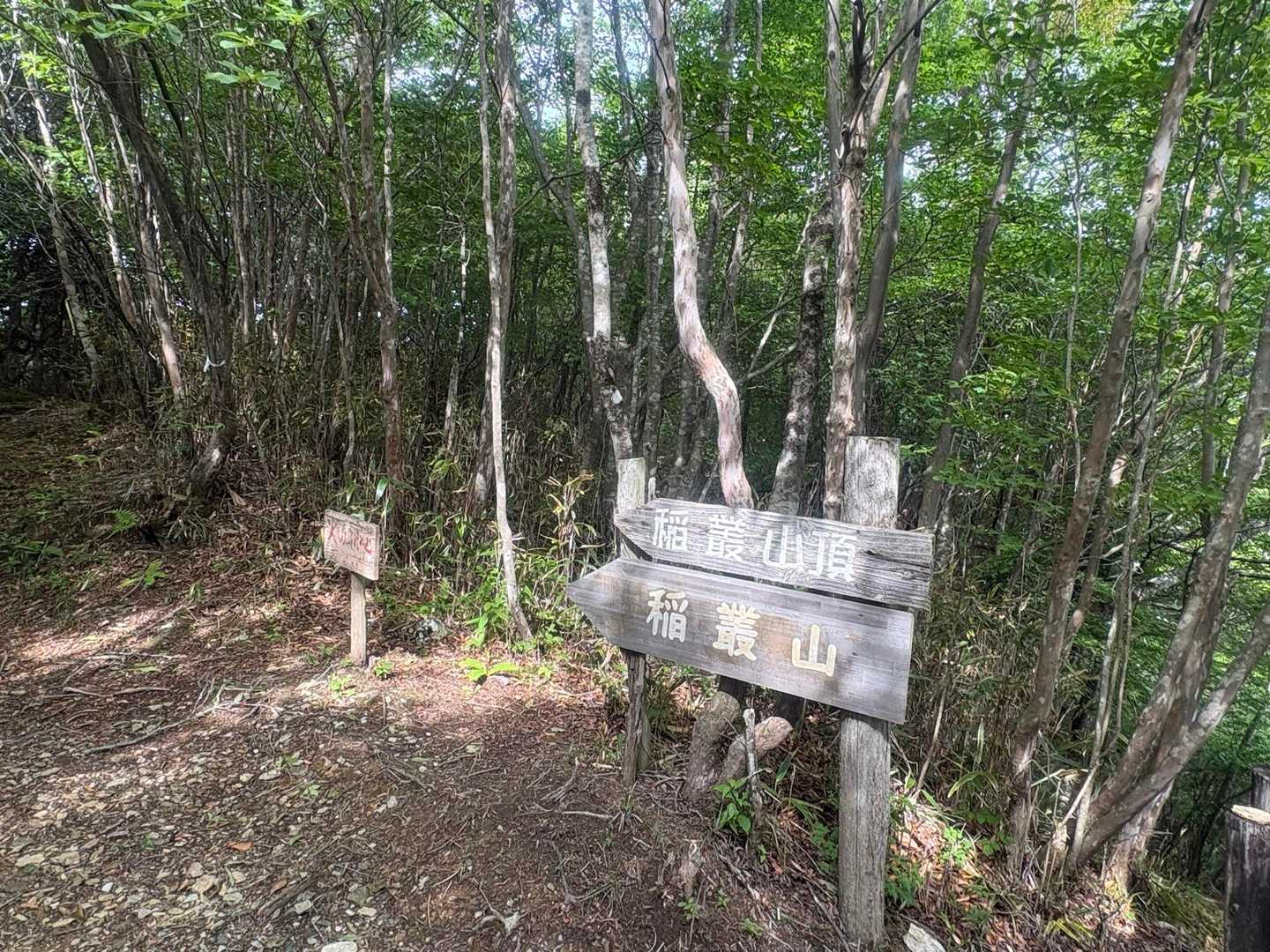 そして　分岐へ
ここで　少し休憩🤏
「稲叢山」⛰️へ