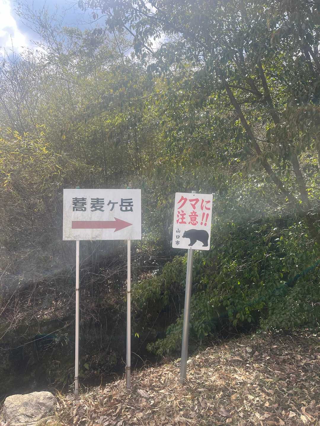 熊さん、冬眠から覚めてませんよーに🙏🙏