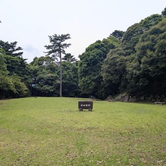 ここで昼メシ