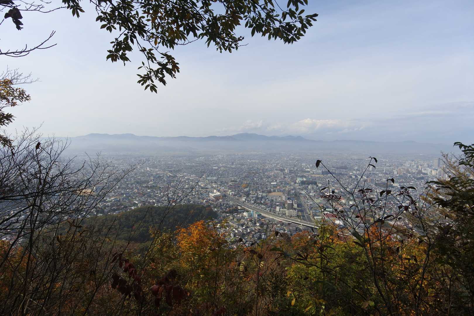 松枯れが進み見晴らしが良くなったが悲しい