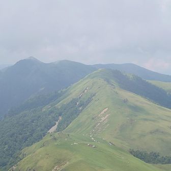 どっちがどっちか忘れました（笑）