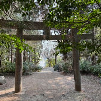 下山、再度道スタート🚲