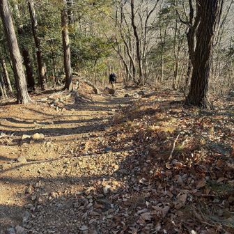 さすがにテンション爆上がりなカミさんも、登りでは疲れてるようです💦