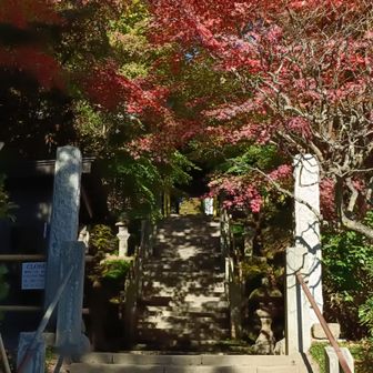 鎌倉最古のお寺、杉本寺。今日は先が長いので、また今度おじゃまします。