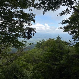 突き当たりの展望台へ、お会いした方が大きなイノシシに会ったそうで⚠️