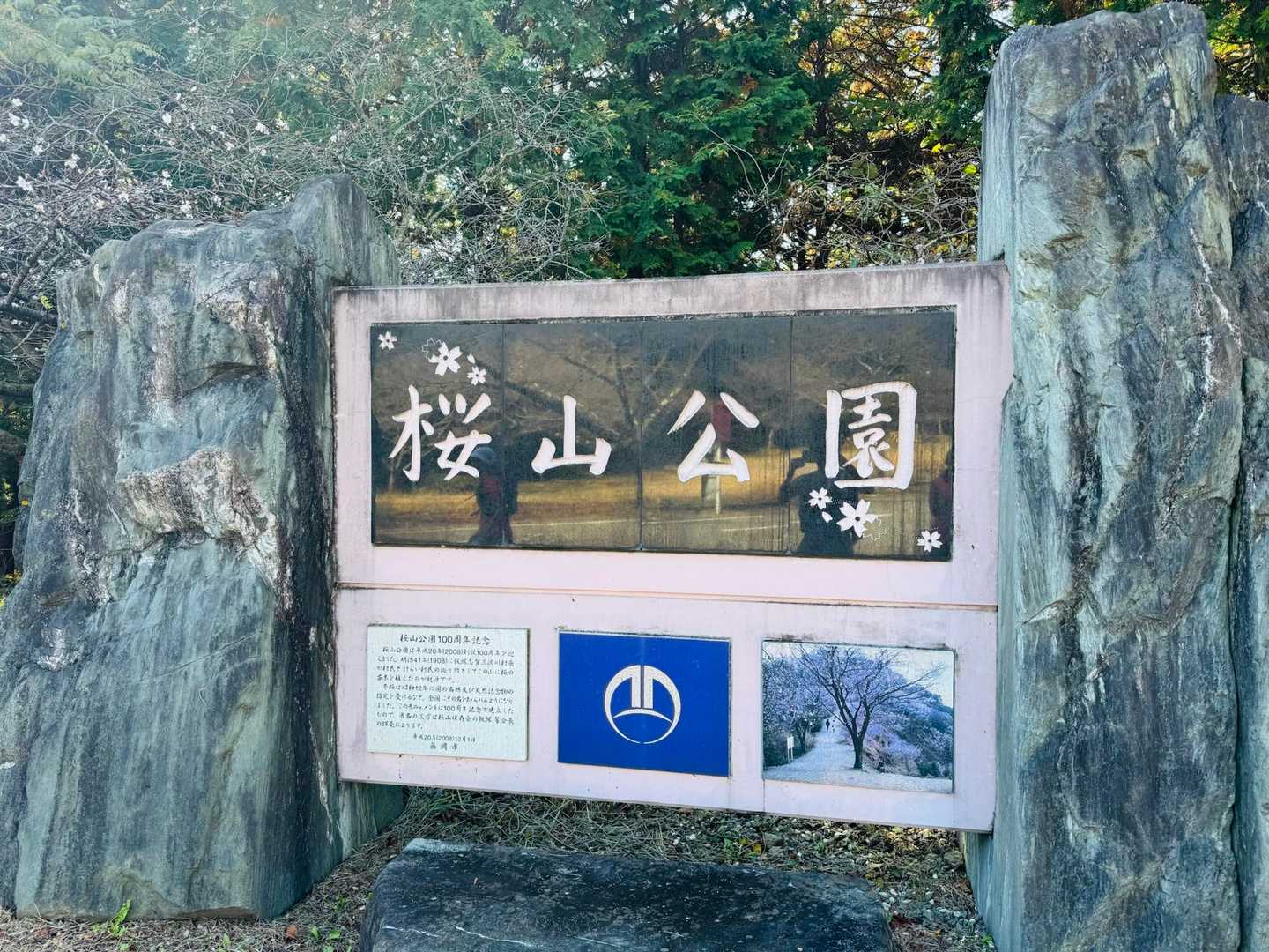 やっと！桜山公園🎵