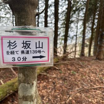 🦶しんどいw
休憩してチャージしてから次のとこへ