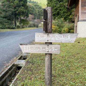 登山道へゴー
