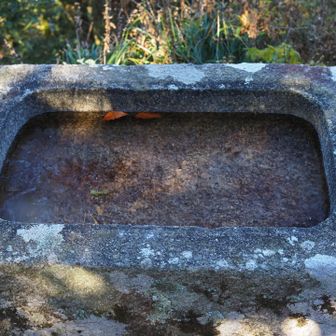 ガッツリ凍ってた