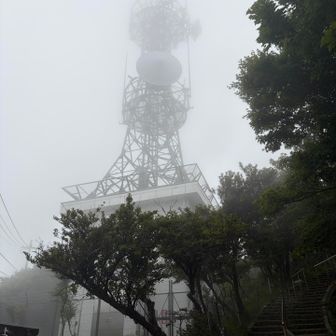 こちらにも電波塔📡