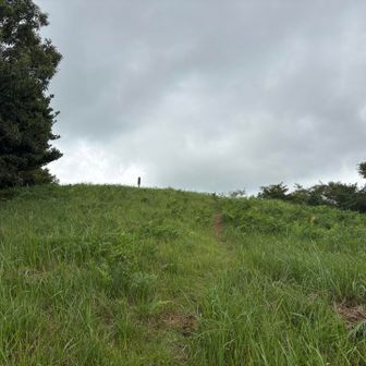 山頂が見えてきた✨