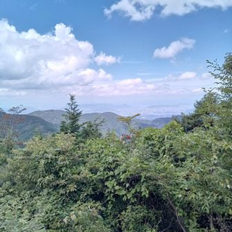 香川県最高峰の展望台から北側を望む。この瞬間、香川県では『私がてっぺん』
