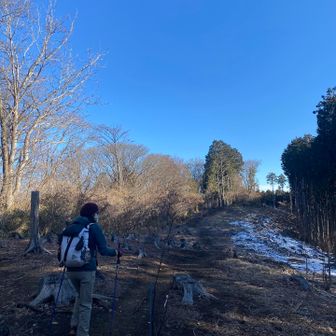 どんどん行きましょう〜