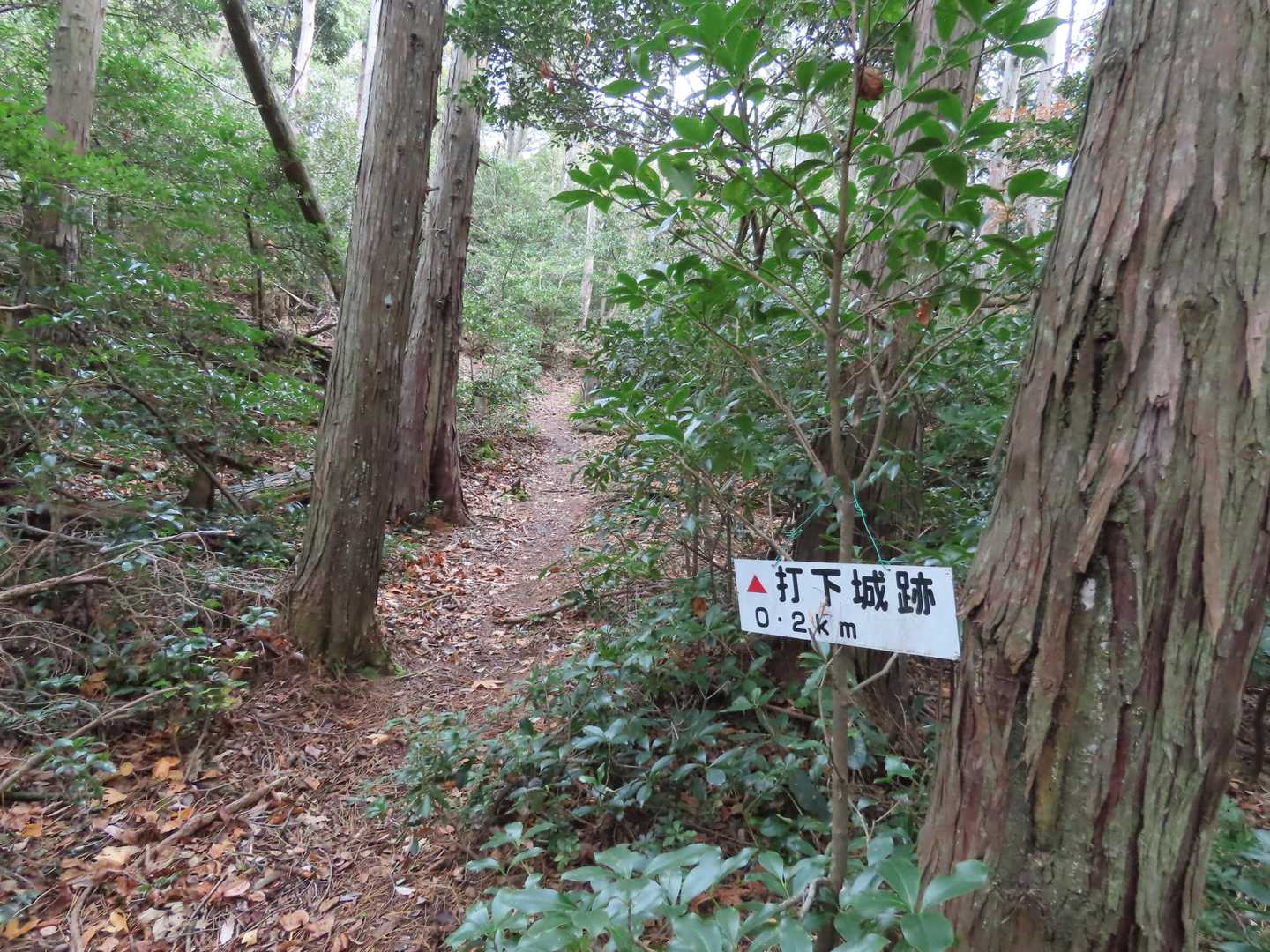 城跡なら眺望があるかも…