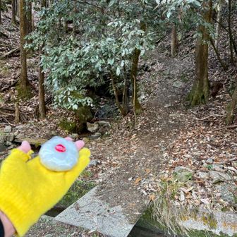 新名神高架橋下からトレイルへ
大福いただきます