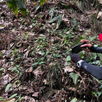 私が写そうとすると邪魔が入る。(*´Д｀)