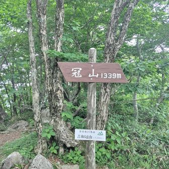到着です。