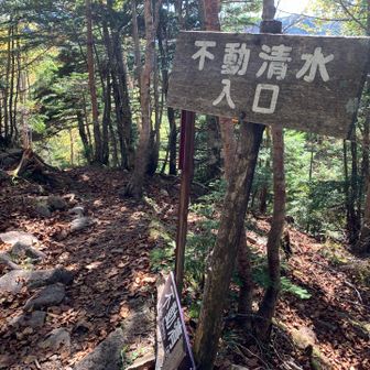行ってみよう