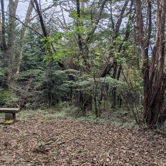 道の向こうが真っ白にガスってる！と思ったら、大塚山アンテナ（NTTドコモ）の巨大な建屋でした。建屋を回り込むとあっさり大塚山に到達