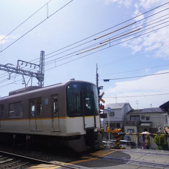 額田駅踏切で三重県では大阪線と伊勢中川駅以南でしか走っていない車両