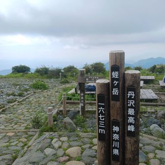 32回目の登頂の蛭ヶ岳。
自宅からも見える丹沢最高峰、神奈川県最高峰の山です。