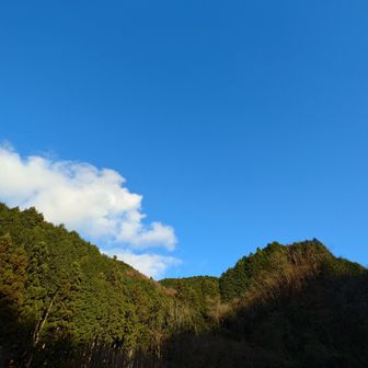 青空が綺麗でした😄👌