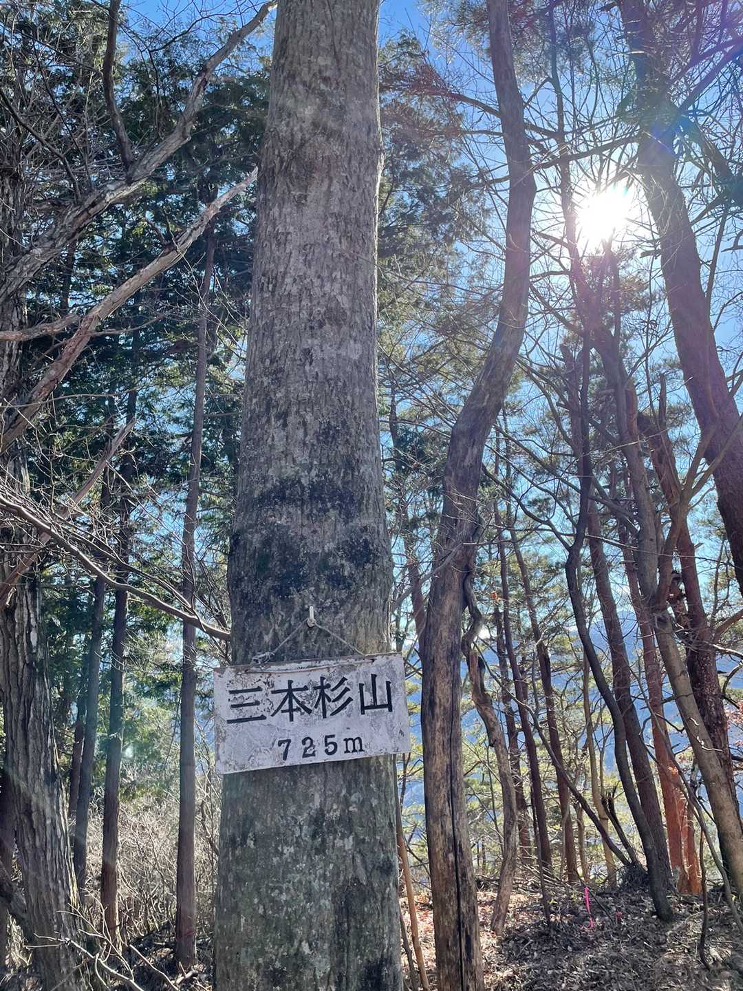 三本杉山△