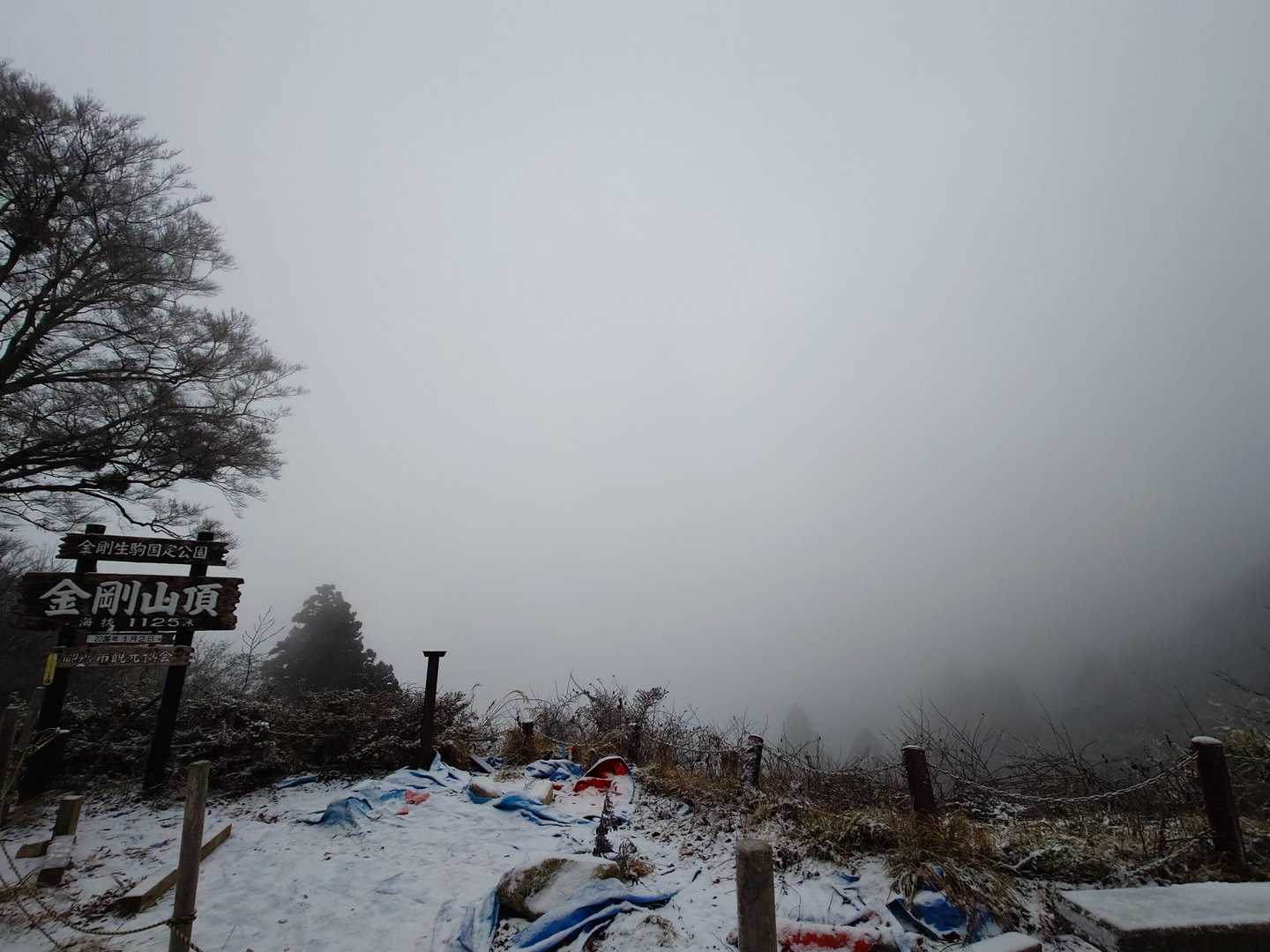千早本道登山口-金剛山 往復コースの写真