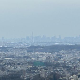 金刀比羅神社からうっすらスカイツリーが見えました！