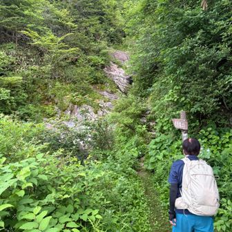 登り始めはちょっとスリリング😊