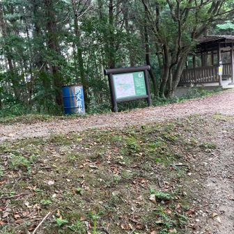 今日は平日で人に会わなかった
