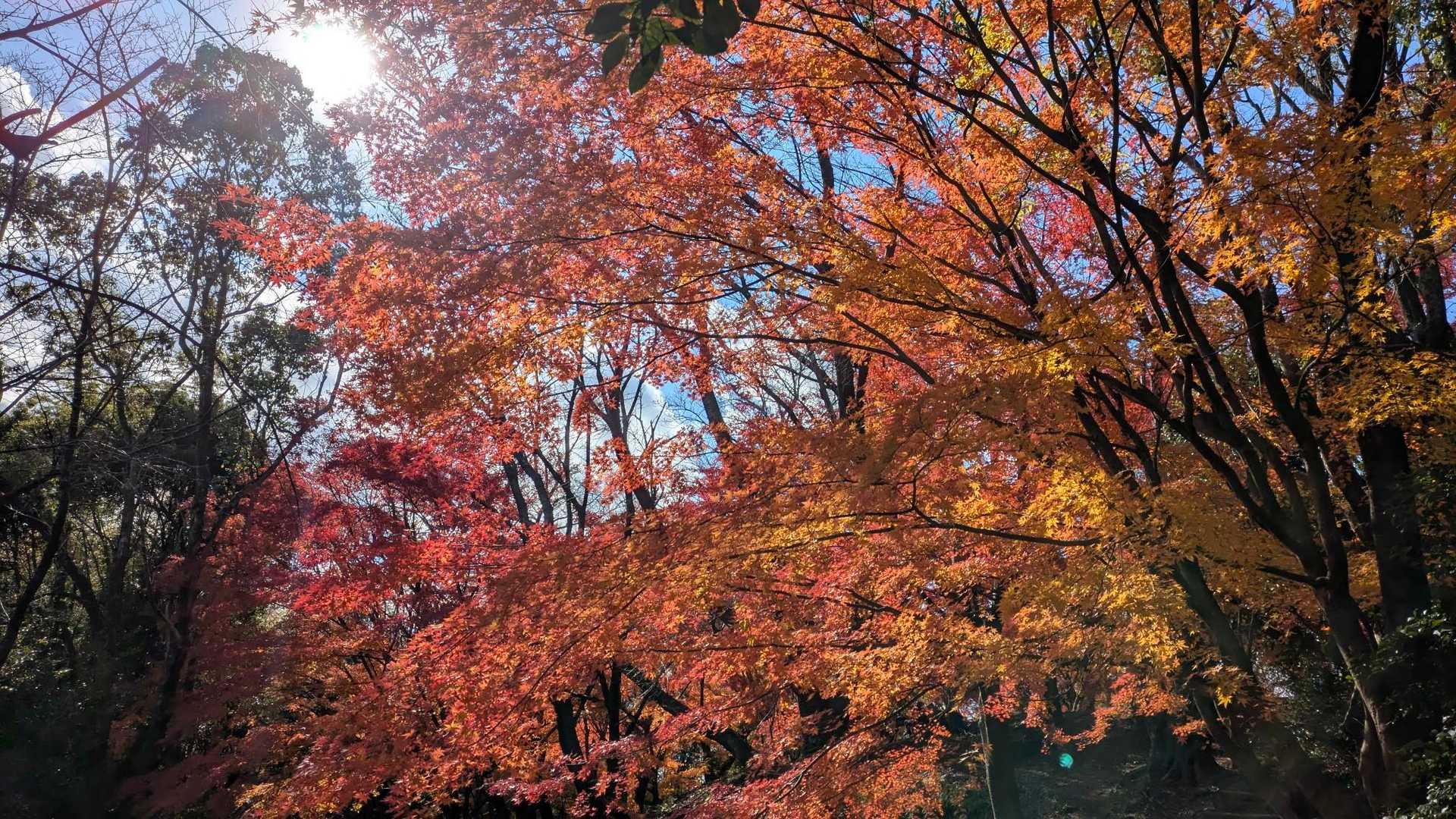 清水寺-清水山-清水山-永興寺 周回コースの写真