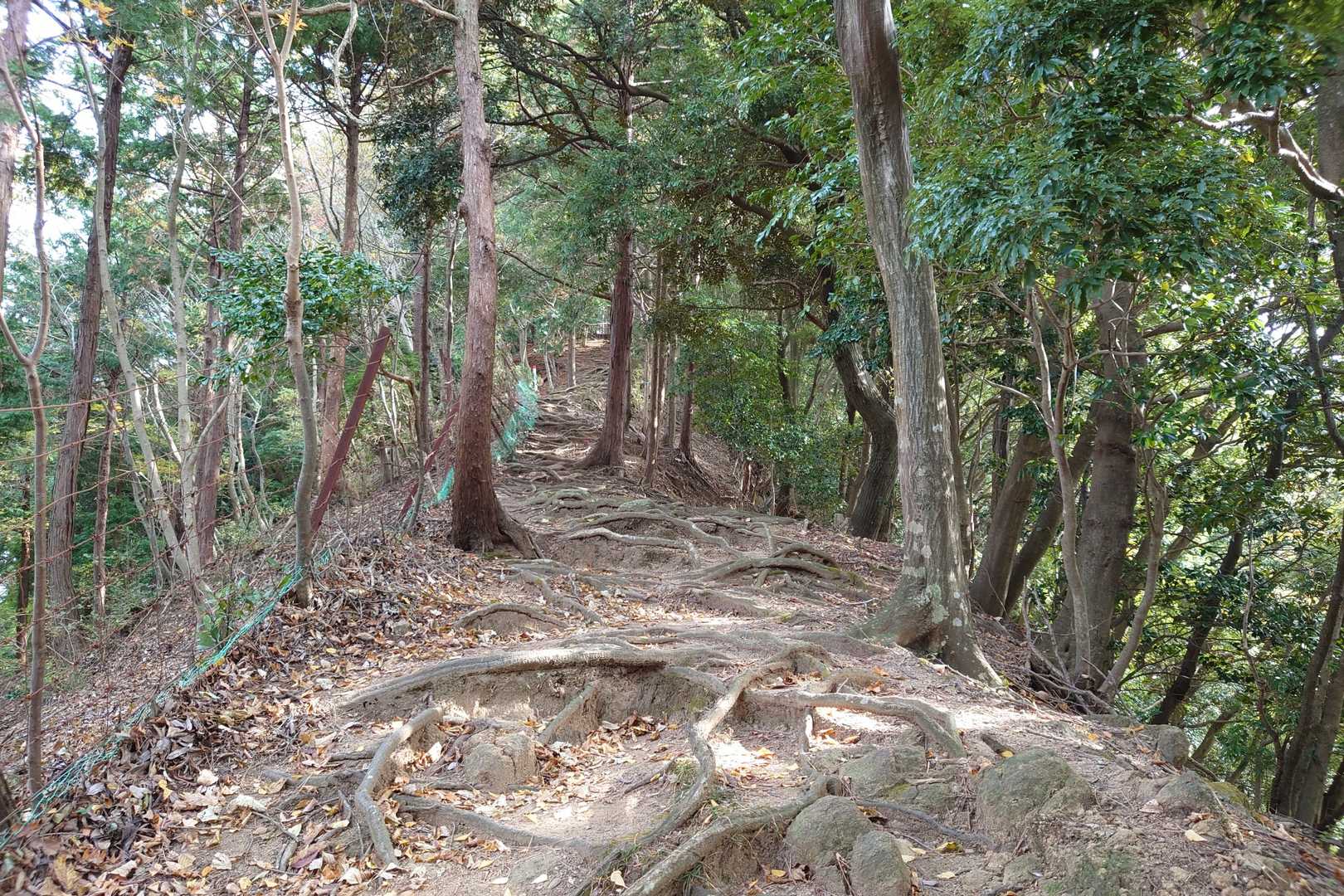 少し尾根沿いの山道を歩きます。