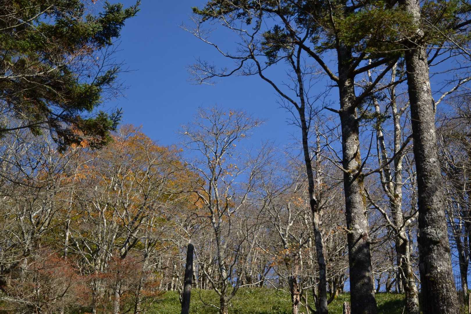 どこを切り取っても素敵な景色