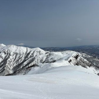 歩いてみた……。