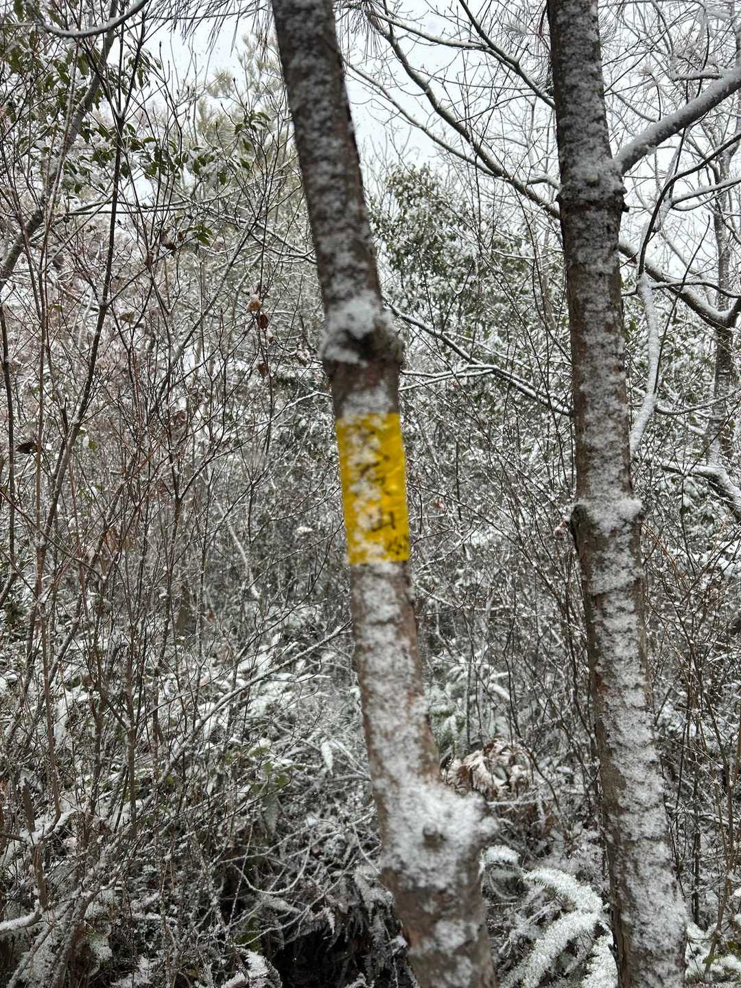大原山到着