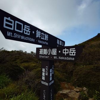 やっと分岐に到着!
