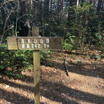 清水山山頂には三角点ありました😊