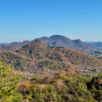 見晴らし最高♪