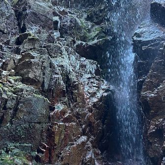 少し氷結し始めているが、
氷瀑になるには、冷え込みが続かないとダメかな？