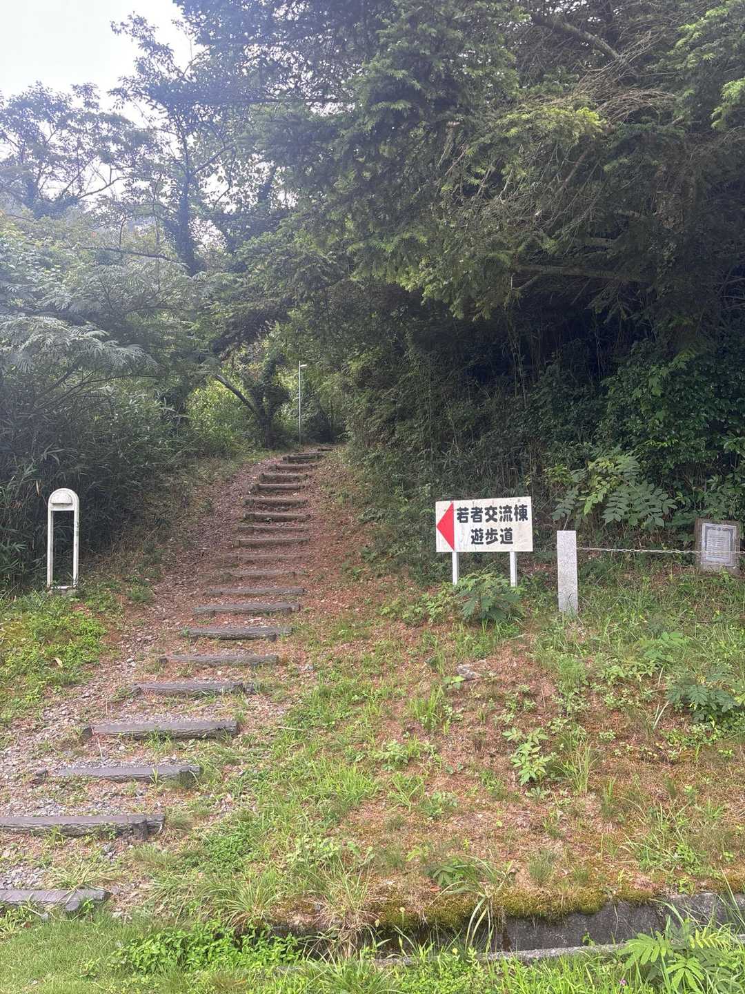 帰りはこの若者交流棟遊歩道を歩いてみよっと😃〜