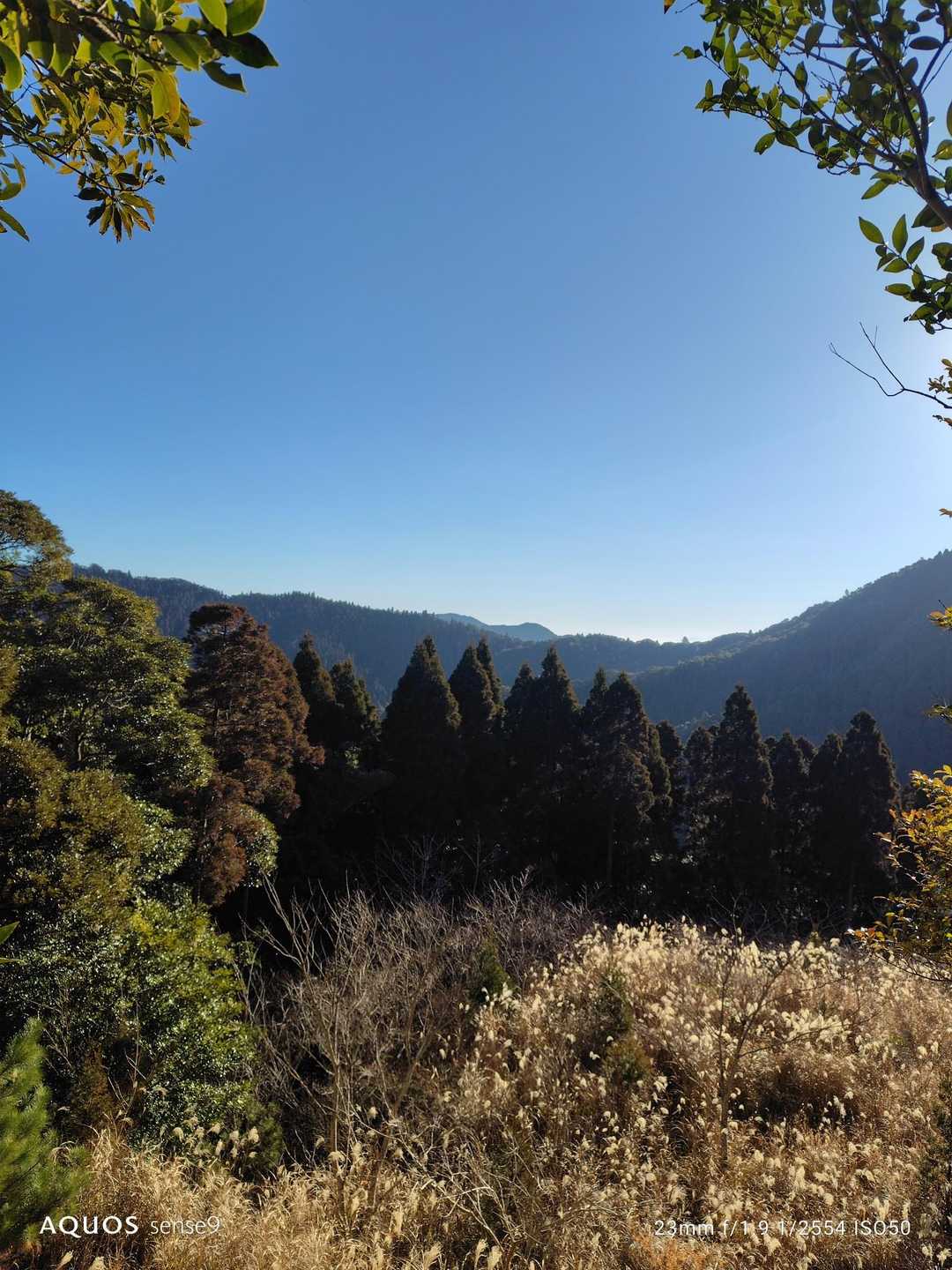 牛の峠登山口-牛の峠 往復コースの写真
