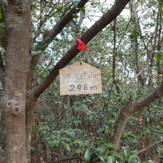 なんと！大谷山の標識の裏に坪江山と書かれていた...