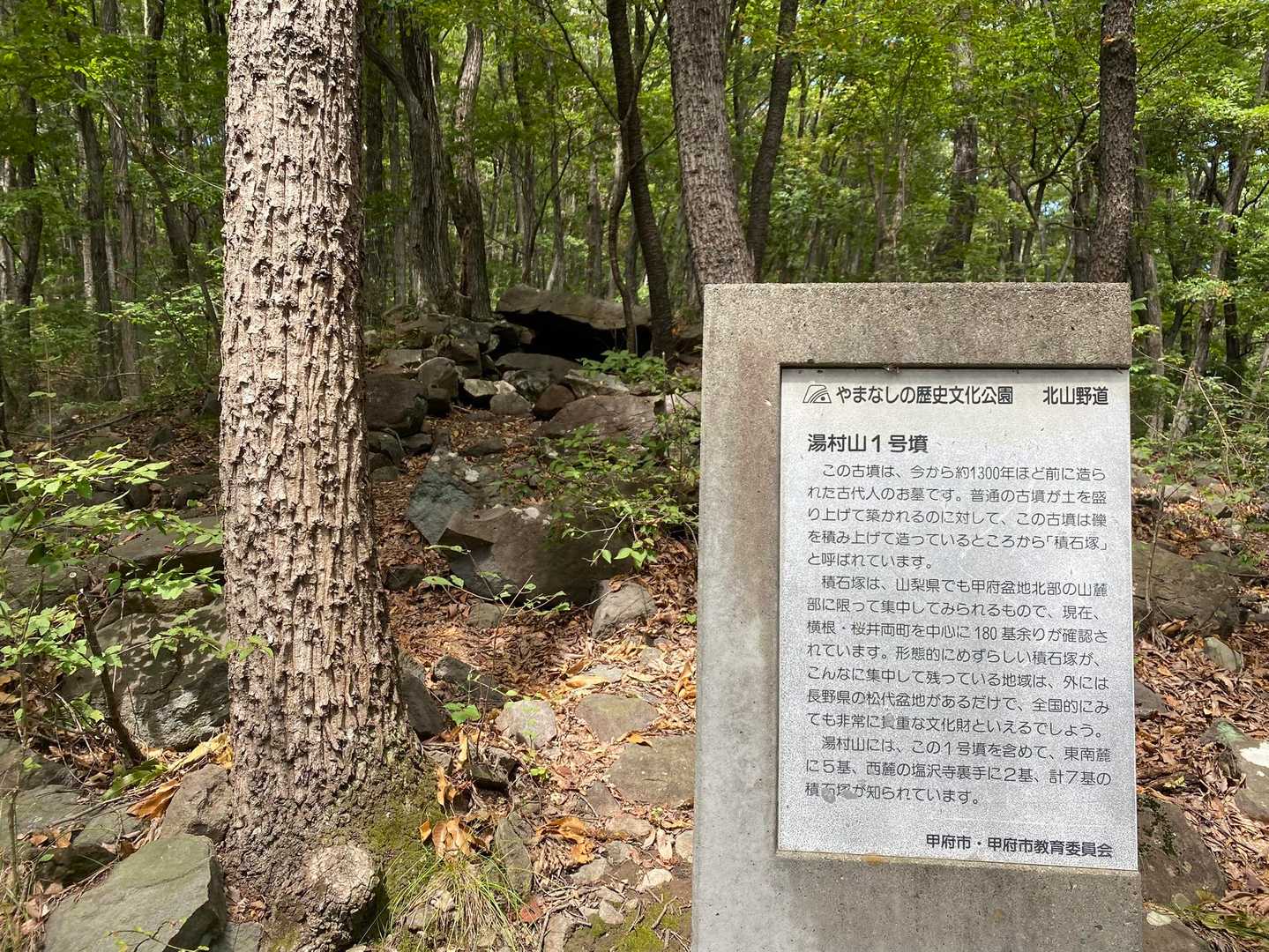 そうそう…古墳があったのを思い出した