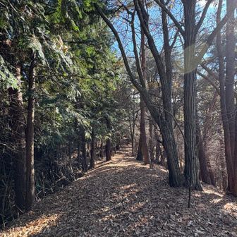 こんな尾根道ならいいけれど、結構な痩せ尾根もありました