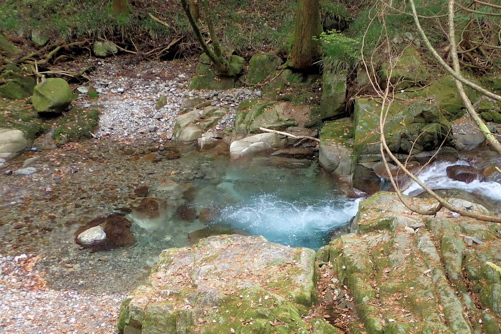透明度の高い川を見ると
どうしても魚影を探してしまいます♥