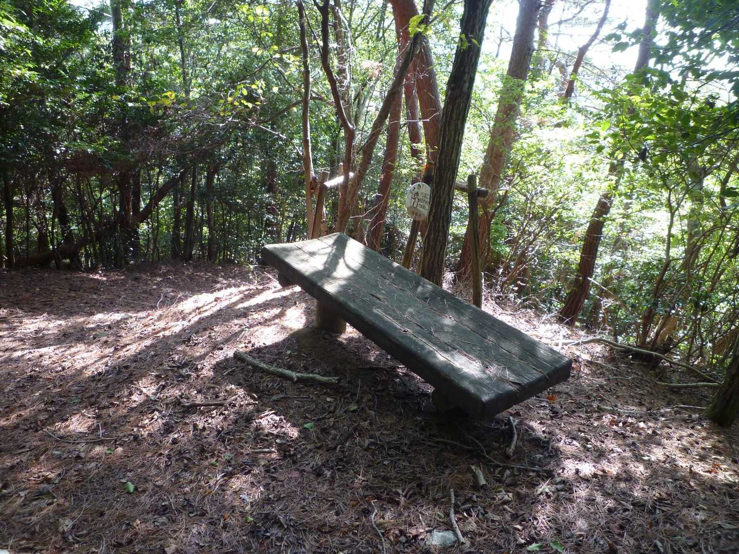山頂には休憩場所なかったのでここで10分間の休憩。登りは階段ばかりだったので疲れたよ。