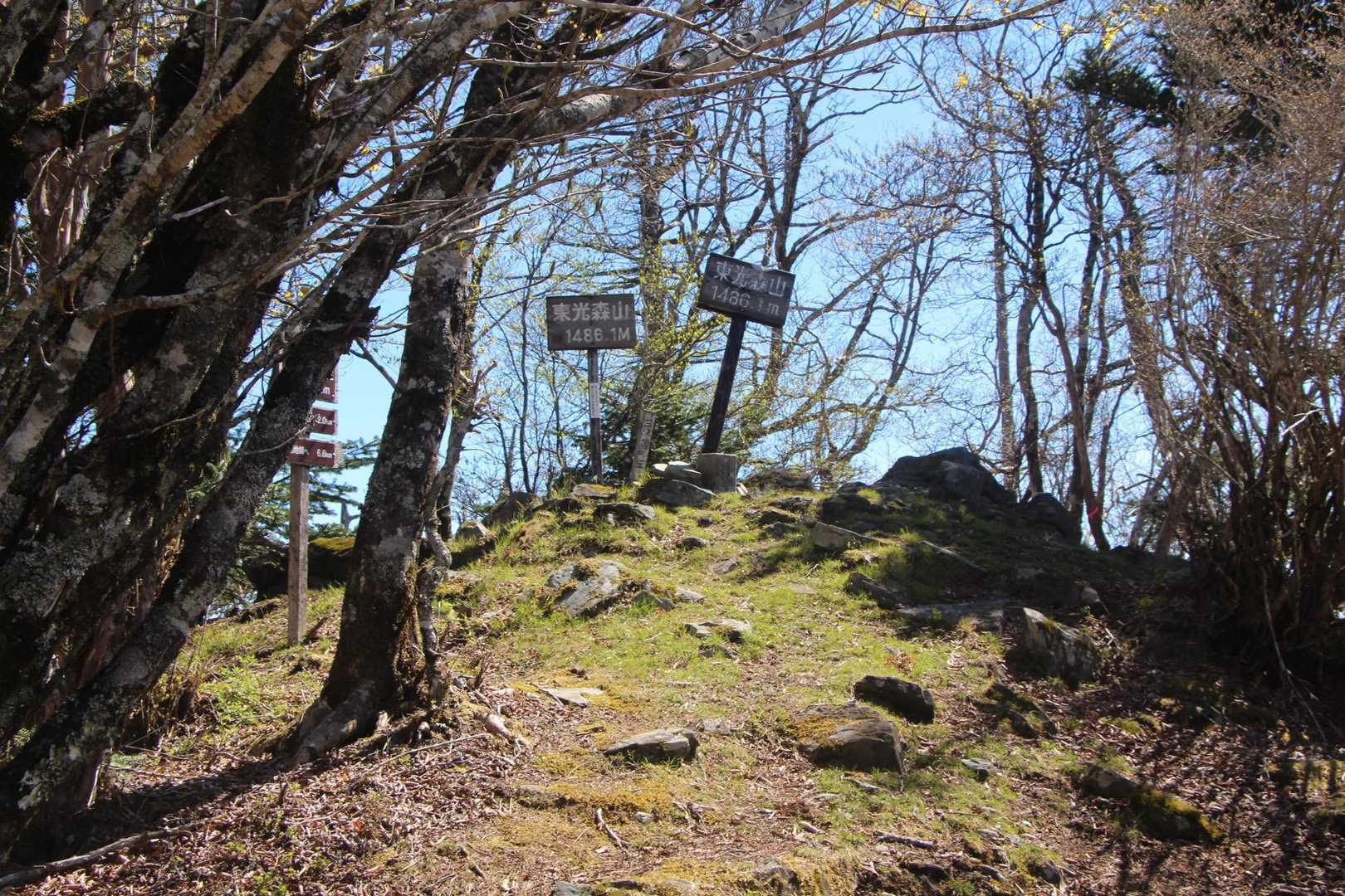 喘ぎながらも山頂到着です♪
小休止して尾根アケボノツツジ広場へ