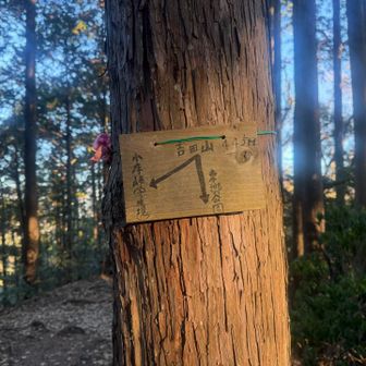御嶽山を過ぎたらガッツリ降って…
登って降っての繰り返し…全然優しくありません…
そんな訳で飯能百名山一座目の吉田山